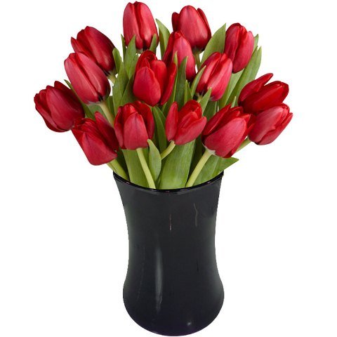 Vaso de tulipas vermelhas