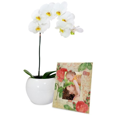 Orquídea Phalaenopsis Branca e Porta Retrato