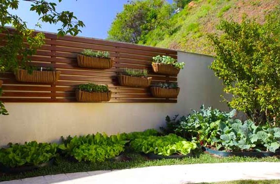 horta e jardim juntos:Horta Vertical – Fonte: culturamix.com horta e jardim juntos:Horta Vertical – Fonte: culturamix.com