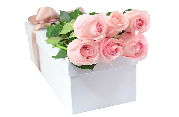 Grande-Motivo-Rosa.jpg