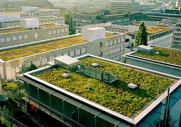 Arquitetura Sustentável - Prédio com telhados verdes