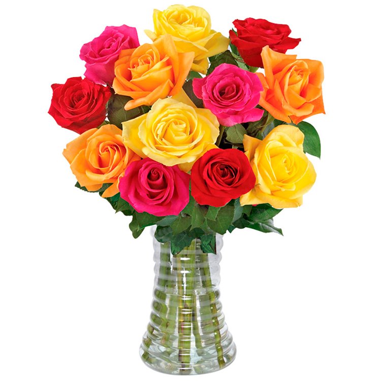 Inspiração 12 Rosas Coloridas no Vaso - presentes para aniversário