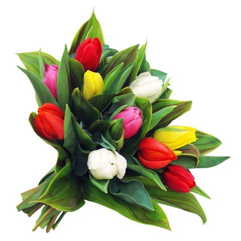 Buquê de tulipas coloridas