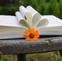 Flores e Livros: Excelente Combinação para Presente