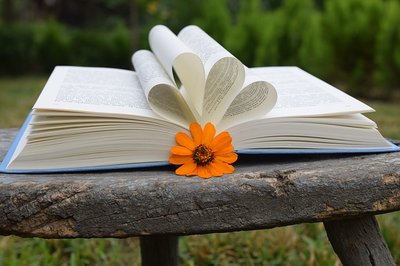 Flores e Livros: Excelente Combinação para Presente