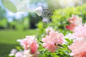 Cuidados com a irrigação do jardim na primavera