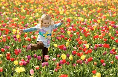 Confira Dicas de Flores para Jardim na Primavera