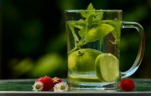 chá com plantas medicinais