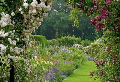 O Encanto do Jardim Inglês