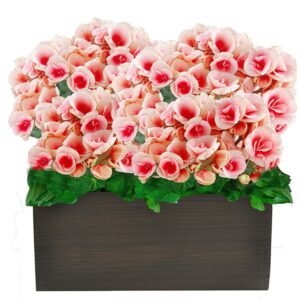 linda begônia rose - quarto de crianças com flores