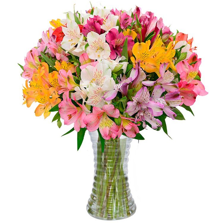 Luxuosas Astromélias no Vaso - significados das flores