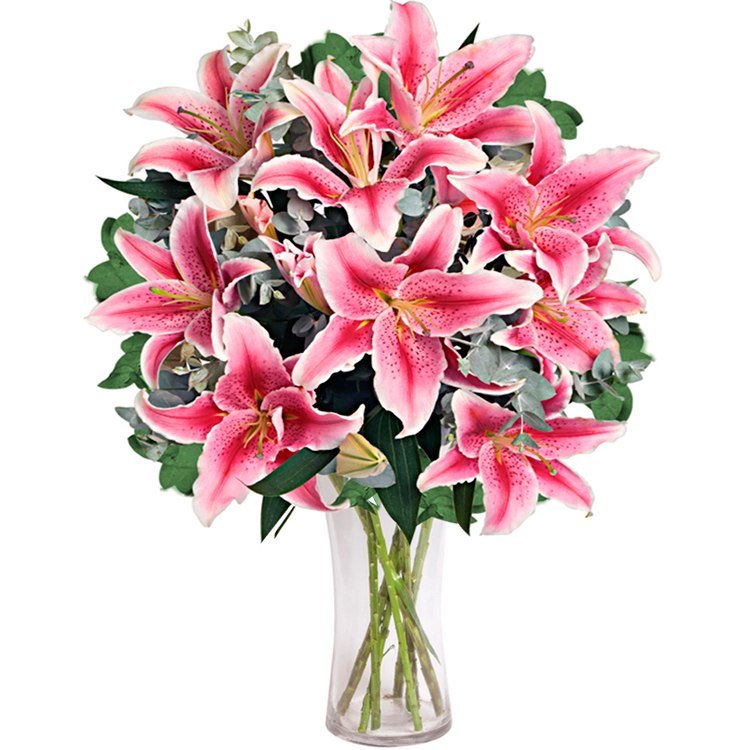 exuberantes lírios pink - significados das flores