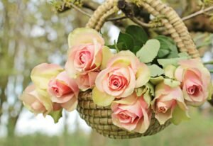 cesta com rosas curiosidades dia das mães cesta com rosas curiosidades sobre o dia das mães
