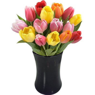 Decore sua casa com tulipas!
