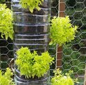 Faça um Jardim Vertical com Materiais Recicláveis