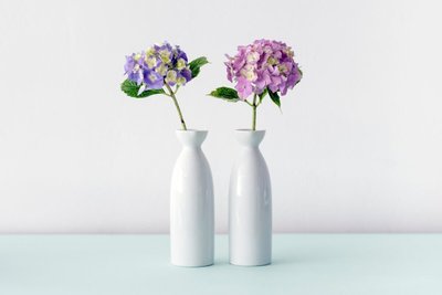 Decore Sua Casa Com Vasos de Cerâmica!