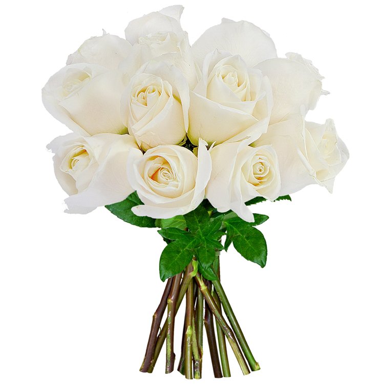 12 Rosas Colombianas Brancas