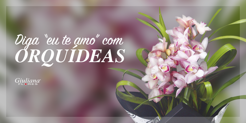 Diga “eu te amo” com orquídeas!