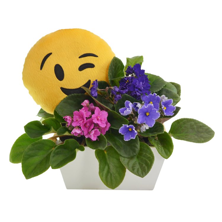 Violetas & Emoji Piscante