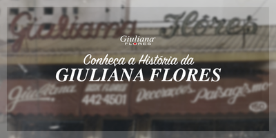 Há 25 Anos Floreando a sua Vida: Conheça a História da Giuliana Flores