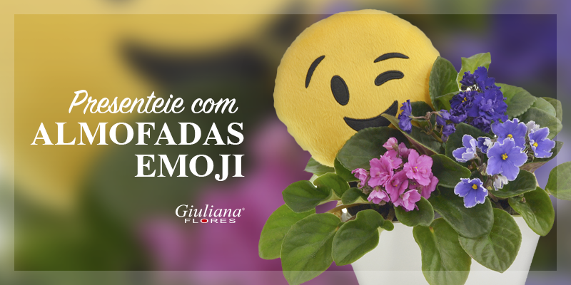 Expressões Digitais para Sentimentos Reais: Presenteie com Almofadas Emoji!