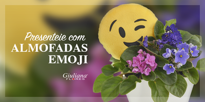 Expressões Digitais para Sentimentos Reais: Presenteie com Almofadas Emoji!