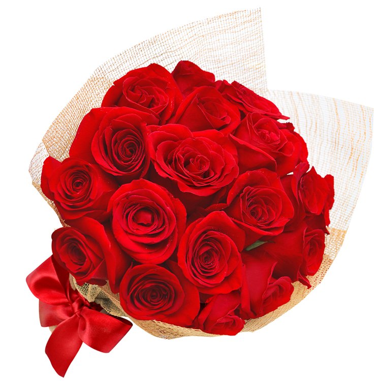 Janeiro do Amor - Esplêndido de Rosas Vermelhas