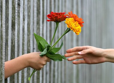 Aprenda Como Conciliar Flores e Sentimentos