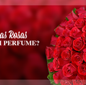 Mês do Leitor – Por que as Rosas Exalam Perfume?