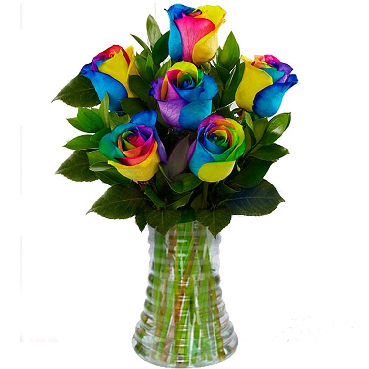 Luxuosas 6 Rosas Multicolor