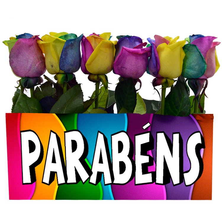 Jardim de Parabéns Multicolor