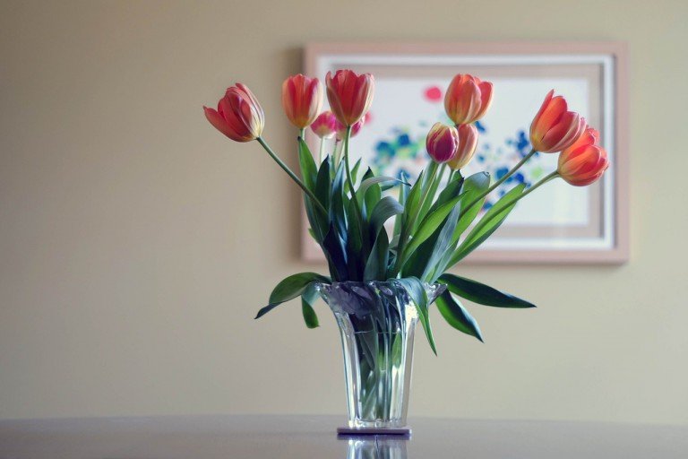 Aprenda a conservar arranjos de flores | Fonte da imagem: pixabay.com