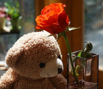 Presentes para Mulher – Escolha flores e urso de pelúcia