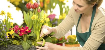 Dia do Florista: saiba mais sobre a profissão