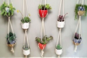 plantas-penduradas-vaso-corda-parede