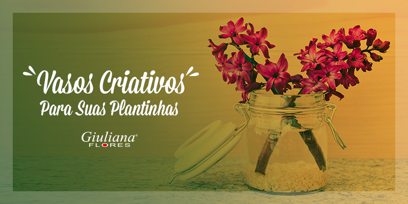 Vasos Criativos Para Suas Plantinhas!