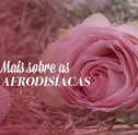 Conheça Mais Sobre as Flores Afrodisíacas