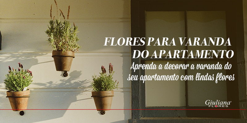 Flores Para Varanda do Apartamento: Decore Seu Cantinho de Forma Especial
