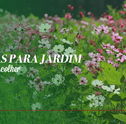 Plantas para Jardim: Saiba Como Escolher