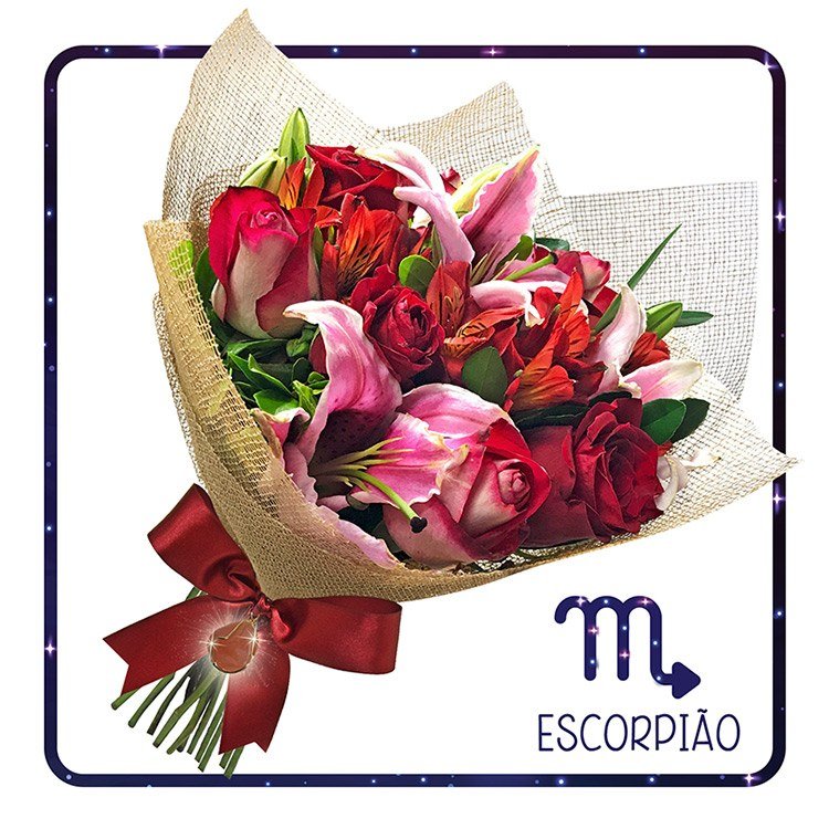 Entrega de Flores - Coleção do Zodíaco