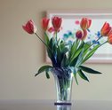 4 Flores que Duram Muito Tempo Fora do Vaso