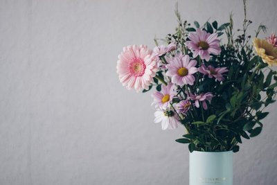 Conheça as Mais Lindas Flores Para Alegrar Sua Casa