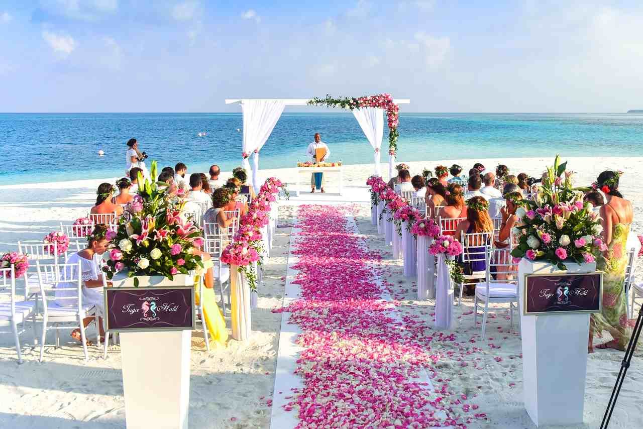 Flores Para Casamento na Praia — Veja Algumas Espécies