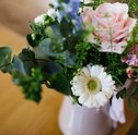 Flores Ornamentais para Vaso — Confira as 5 Melhores Flores para Vasos!