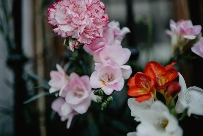 O significado das cores das flores no ano novo