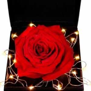 Caixa Premium com Rosa Colombiana Vermelha Star