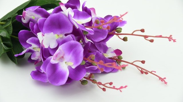 Buquê de Noiva de Orquídea — Como Escolher a Cor? | Giuliana Flores