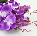 Buquê de Noiva de Orquídea — Como Escolher a Cor Certa?