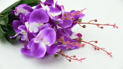 Buquê de Noiva de Orquídea — Como Escolher a Cor Certa?
