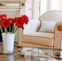 Capitão Zeferino: 7 dicas para você decorar sua casa com lindas flores